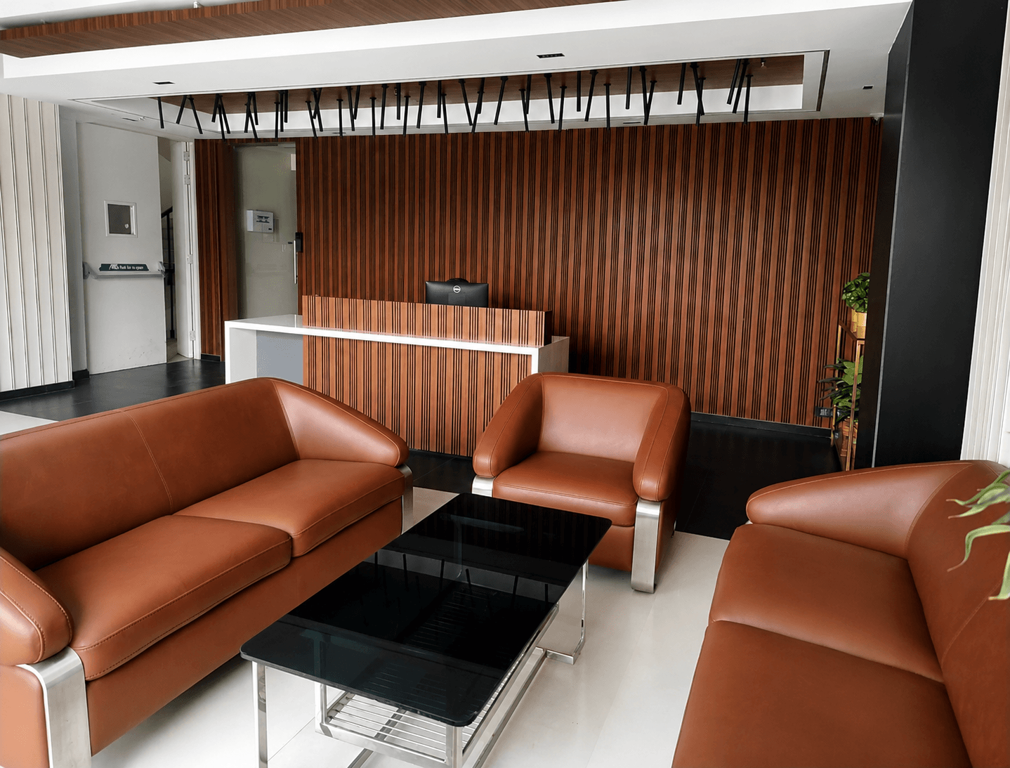 Modern Reception